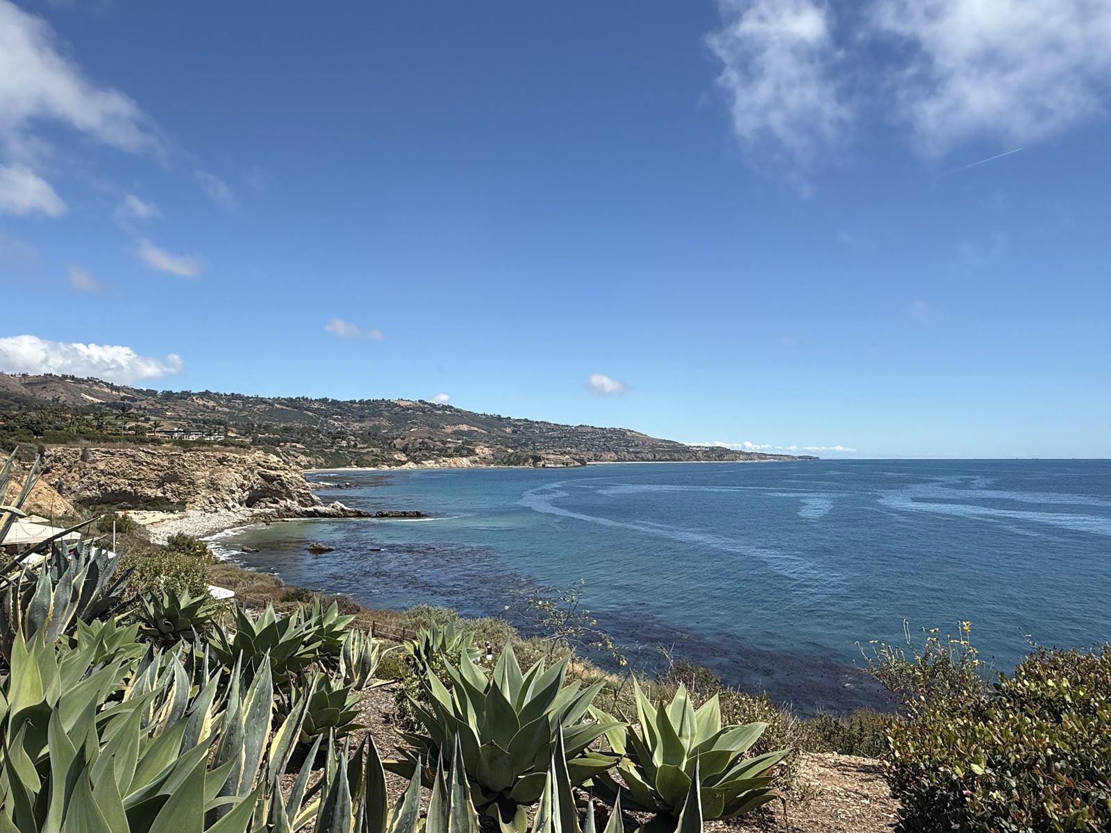 The deep-blue Pacific and the Palos Verdes cliffs seen from a succulent-covered bluff at Terranea Resort in California.