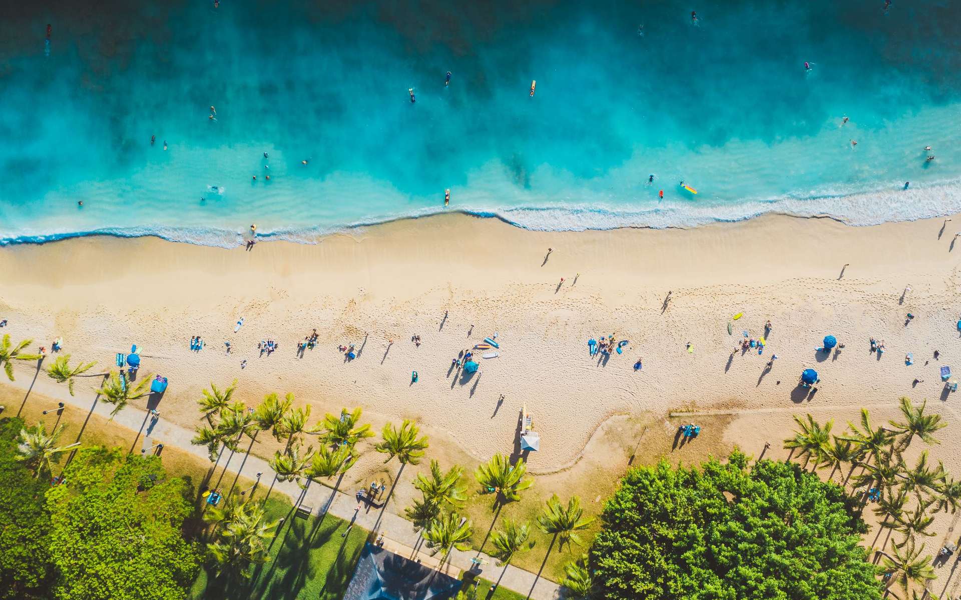 Aerial view of a sunny beach with turquoise water and palm trees